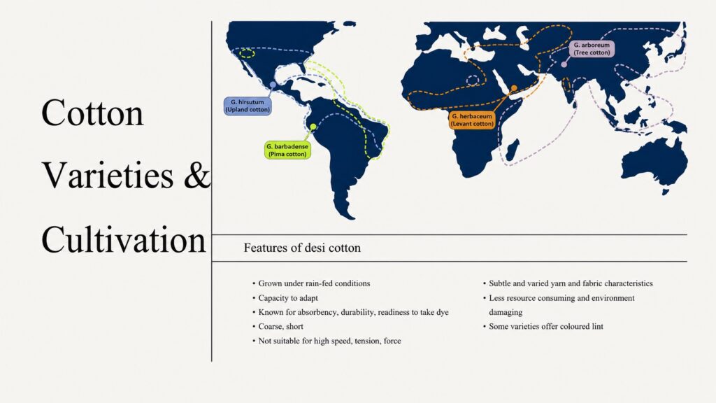 cotton varieties and cultivation