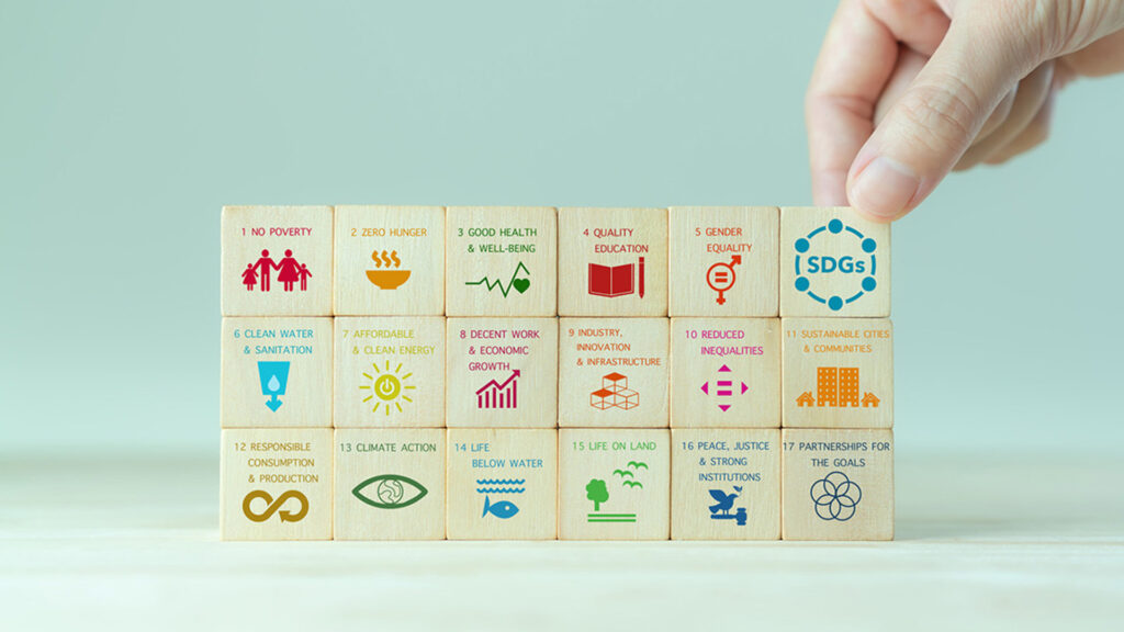 SUSTAINABLE GOALS FOR FASHION